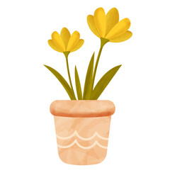 Obraz premium Watercolor Yellow Crocus Potted Plant Illustration