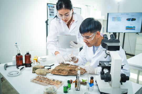 Laboratory scientist research microscope sample wood experiment analysis safety goggle, two Asian researcher study natural material with tablet and lab equipment