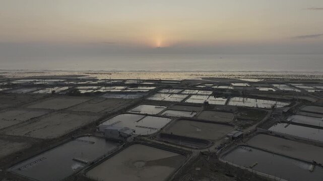 Aerial drone footage of sunrise over Phuoc Dinh shrimp farms in Khanh Hoa, Vietnam, featuring aquaculture ponds, golden reflections and sustainable seafood farming along the coastal landscape.