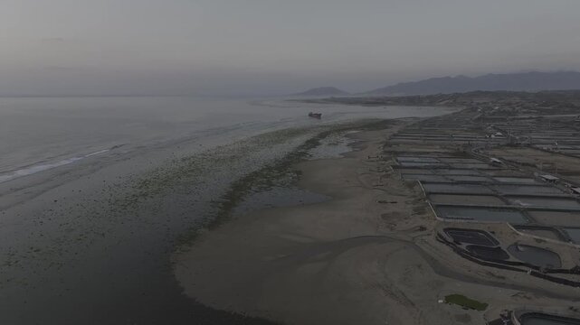 Aerial drone footage of sunrise over the mossy rocky beach at Phuoc Dinh Coast, Khanh Hoa, Vietnam, featuring emerald seaweed, golden light, crystal-clear sea and dramatic coastal scenery.