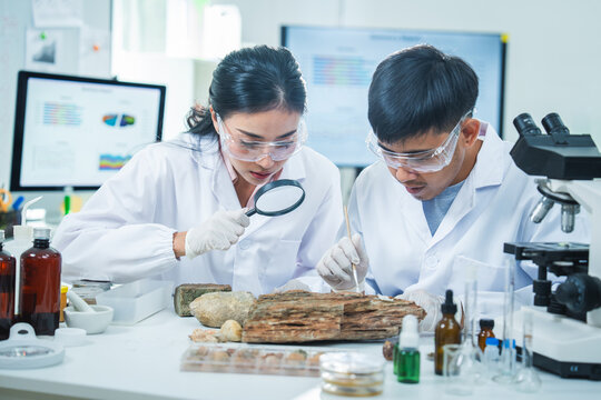 Scientist laboratory microscope research wood sample magnifying glass eye protection team study natural material with careful focus, glassware, bottle, glove, lab coat, and data screen