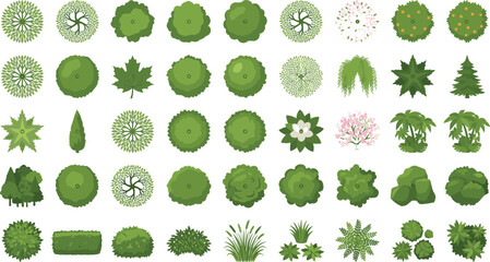Fototapeta premium Various green trees and shrubs viewed from directly above for landscape design plans