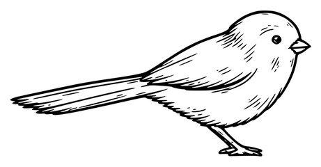 Long Tailed Tit Hand Drawn Bird Sketch Illustration © Je