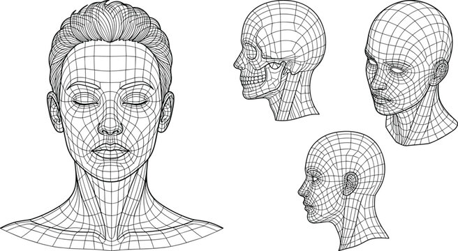Wireframe 3d models of human head and skull in different angles on white background