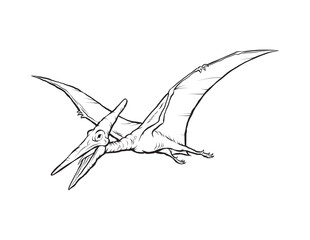 Pterodactyl dinosaur illustration © Philip