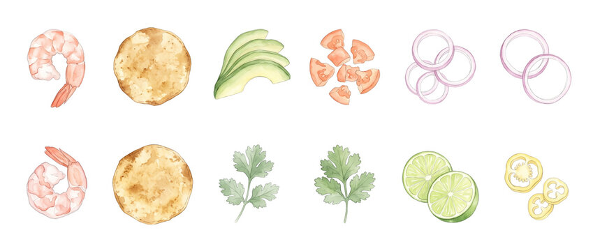 Watercolor Shrimp Taco Ingredients Set with tortillas, avocado, lime, cilantro, onions, and tomatoes isolated on black background for Mexican food recipes, cooking blogs, and culinary menu designs.