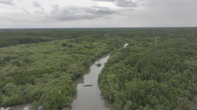 Aerial drone footage of Can Gio Mangrove Forest and winding rivers in Ho Chi Minh City, Vietnam, showcasing UNESCO biosphere reserve, lush wetlands and pristine tropical landscape.
