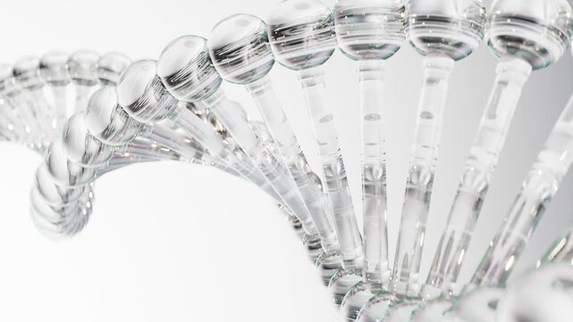 DNA Rotation Loop
