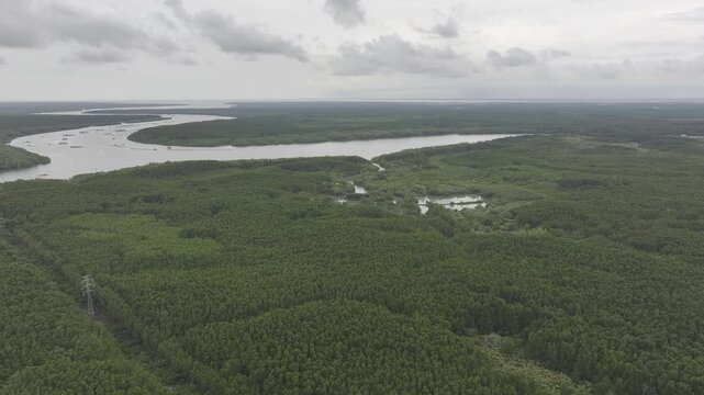 Aerial drone footage of Can Gio Mangrove Forest and winding rivers in Ho Chi Minh City, Vietnam, showcasing UNESCO biosphere reserve, lush wetlands and pristine tropical landscape.
