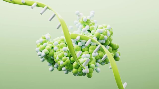 Biological Organic Protein Structure 3D Animation for Molecular Science