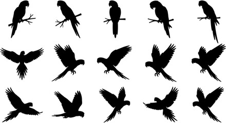 Silhouette collection of macaw parrots featuring flying and perched poses on branches, perfect for tropical nature wildlife vector illustration designs.  © Ahsan