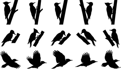 Silhouettes of woodpeckers featuring pecking, climbing, and flying birds, ideal for nature wildlife vector illustration designs, isolated on white background.  © Ahsan