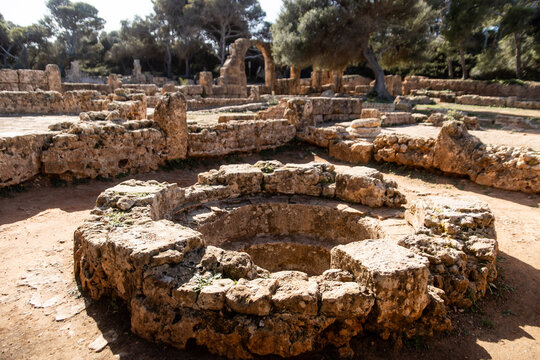 Circular Stone Basin Among the Ancient Ruins