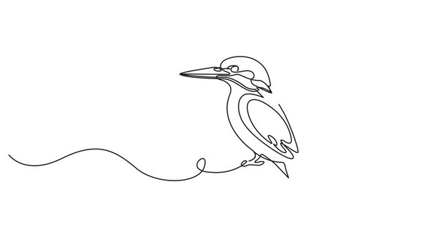 Mesmerizing Minimalist Continuous One Line Drawing of a Majestic Kingfisher Bird in Fluid Motion Dynamic Self-Drawing Animated Vector Graphic Seamless Loop Illustration Featuring Elegant Single Stroke
