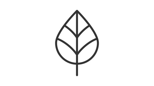 Minimal leaf growth animation for nature, ecology, plant, environment, and sustainability concepts.