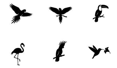 70 Tropical Bird Silhouettes Collection: Exotic Parrot, Toucan, Flamingo, Cockatoo, Hummingbird Icons, Vector Graphics for Wildlife Design 100 © Julfiqer