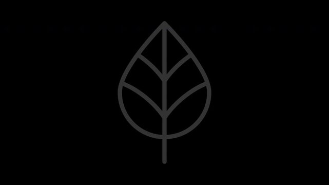 Minimalist leaf line art animation isolated on transparent background with alpha channel for nature overlays.