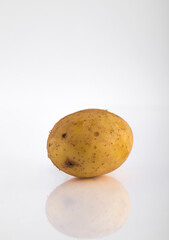 Fototapeta premium Potato isolated on white background with reflection and copyspace.