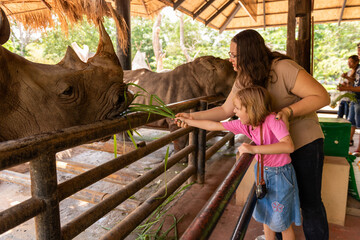 Family feeding rhinos at zoo © Rawpixel.com