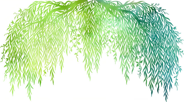 Graceful Watercolor Hanging Weeping Willow Branches with Fresh Green Botanical Leaves PNG Isolated on Transparent Background