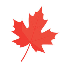 Fototapeta premium Red maple leaf illustration vector on white background. Minimalist flat design texture ideal for autumn banner, thanksgiving backdrop, canadian national symbol, or a seasonal custom background.