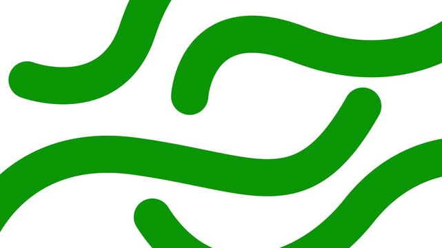 Animated green decorative wavy lines is drawn. Linear background. Looped video. Vector illustration isolated on white background.