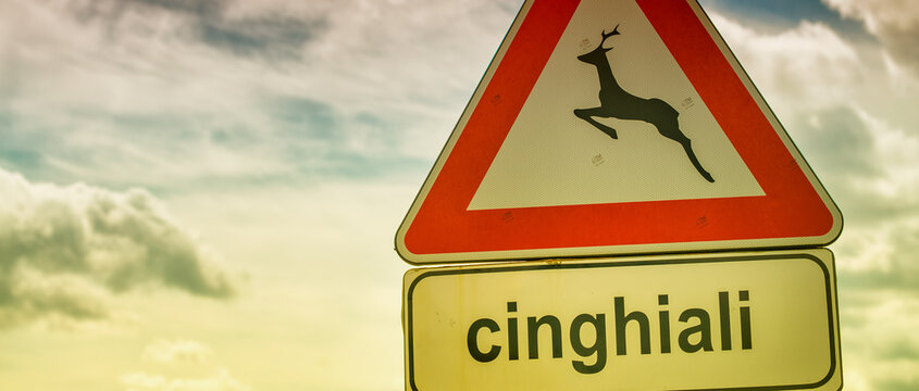 Boar road sign in Italy