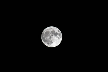 Obraz premium full moon in the night