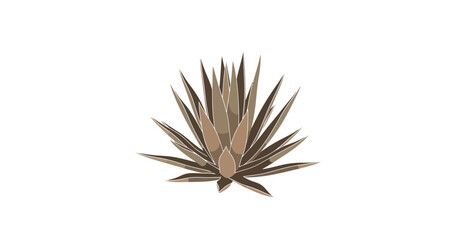 Fototapeta premium Stylized Brown Agave Succulent Plant Illustration