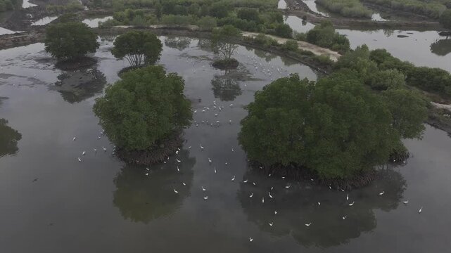 Aerial drone view of oyster farming rafts on the river in Long Son, near Ho Chi Minh City, Vietnam.