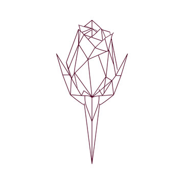Geometric rosebud line art illustration