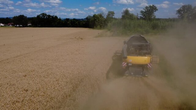 Aerial orbit close behind a combine harvester in a cloud of dust during wheat harvest