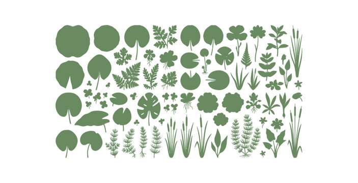 Aquatic Pond Plant Icon Set