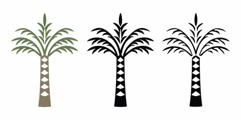Palm Trees In Three Variations Vector Illustration © Indira