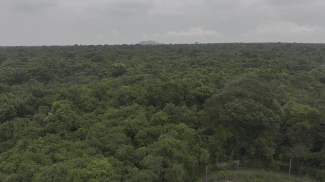 Aerial drone footage of Binh Chau Phuoc Buu National Park, Ho Chi Minh City, Vietnam, showcasing pristine coastal forest, tropical nature, sandy beaches and protected biodiversity.