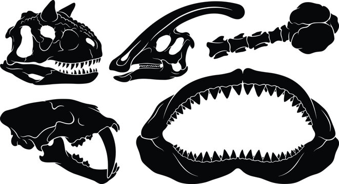 Black silhouette collection of prehistoric animal skulls dinosaur heads saber-toothed tiger skull and shark jaws vector