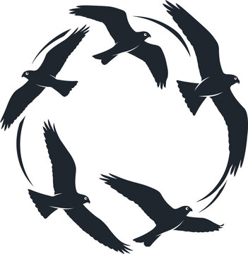 Flying birds silhouette circle, black hawk and eagle flock in circular motion, predatory bird flight vector illustration for logo design