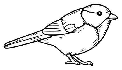Masked Parus Tit Hand Drawn Bird Sketch Illustration © Je
