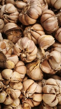 Many fresh garlic bulbs forming an interesting texture at supermarket
