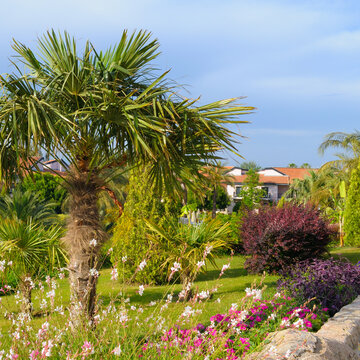Lush Tropical Resort Garden with Palm Trees and Blooming Flowers Exotic Hotel Garden Landscape with Palms and Mediterranean Architecture
