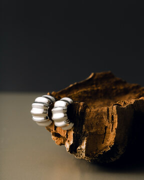  Earring on Wooden Piece Studio Still Life