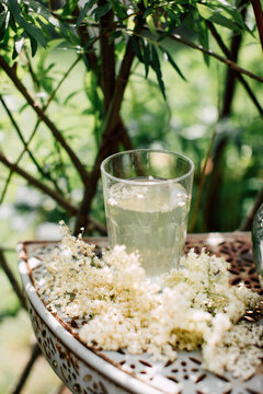 A Glass of Elderflower Cordial In The Garden Beside Elderflowers