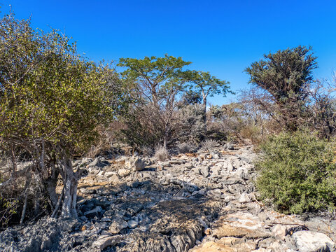Hiking Trail to Mitoho Cave, Tsimanampetsotsa National Park, Madagascar	
