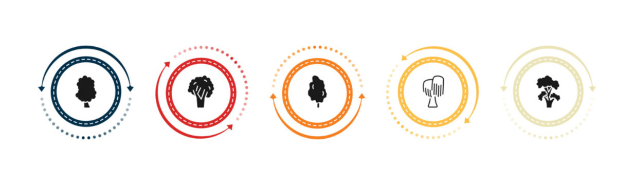 filled nature icons set - sassafras tree, black walnut tree, tulip tree black willow editable vector for web and mobile ui