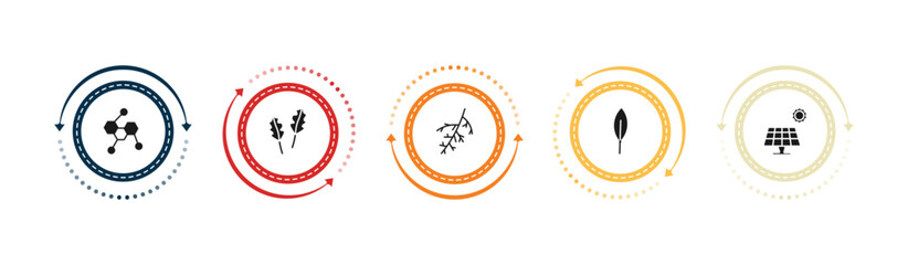 filled nature icons set - chemical structure, pedunculate, larch leaf, magnolia leaf. editable vector for web and mobile ui © IconArt