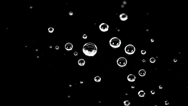 Crystalline water droplets on black background, macro liquid spheres with high contrast reflections, clear condensation beads for overlay textures