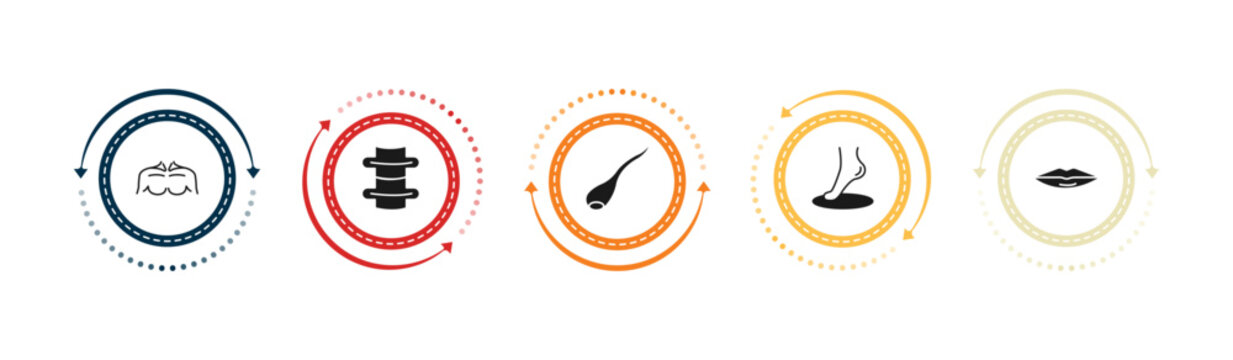 filled human body parts icons set - men chest, spine bone, sperms, foot side view. editable vector for web and mobile ui