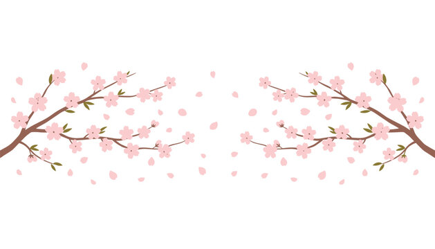 Two symmetrical cherry blossom branches facing each other with delicate pink petals scattering in the center.