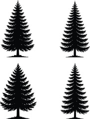 Obraz premium Four black silhouette pine trees with detailed needles pine tree silhouette
