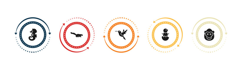 filled animals icons set - sea horse, mongoose, humming bird, chick. editable vector for web and mobile ui © IconArt
